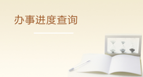 办事进度查询