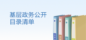 基层政务公开目录